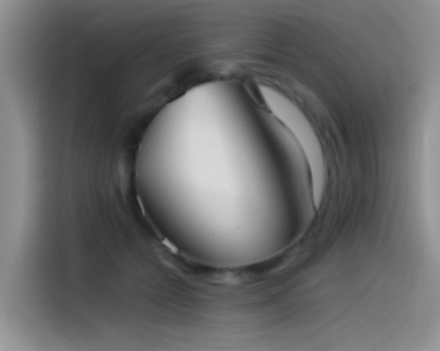 X0000115540558200911061502