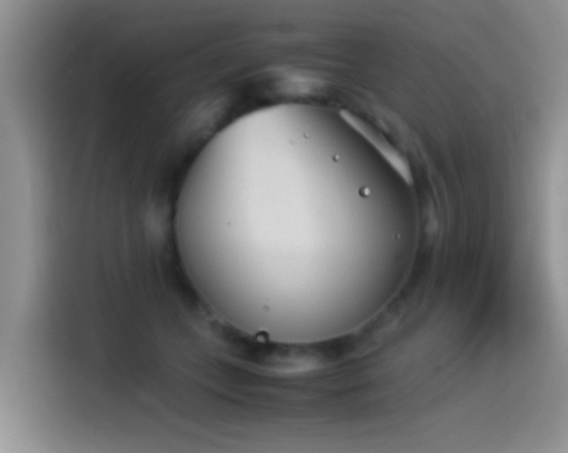 X0000115540559200911061502