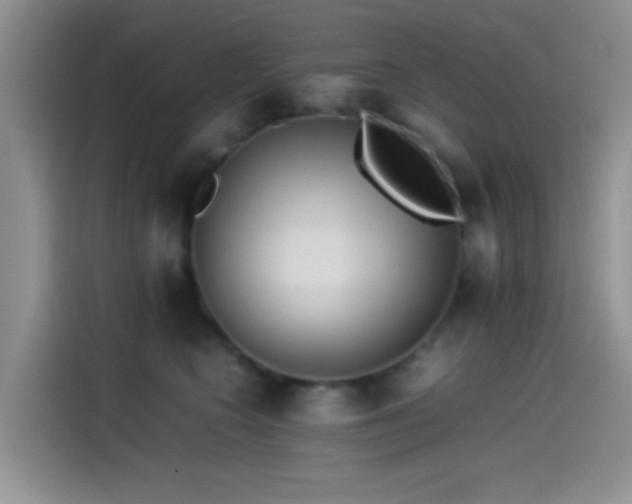 X0000115540566200911061502