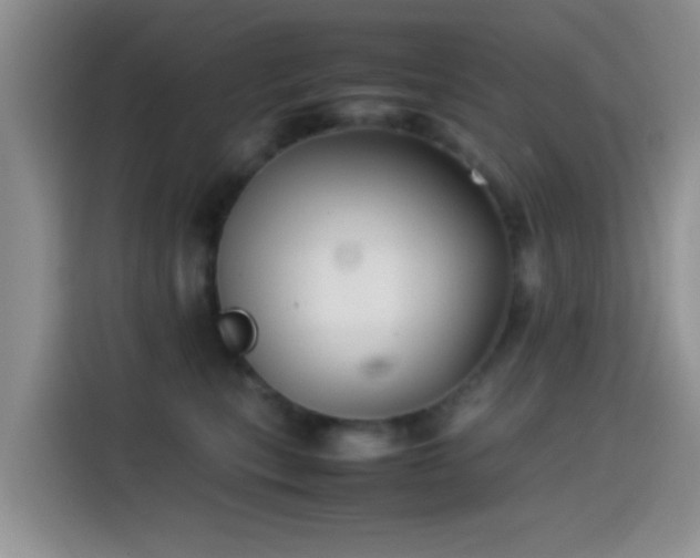 X0000115540567200911061502