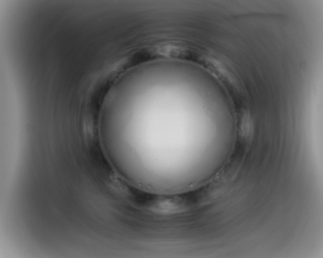 X0000115540569200911061502