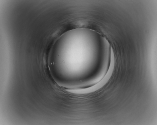 X0000115540570200911061502