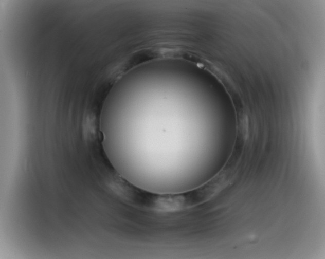 X0000115540571200911061502