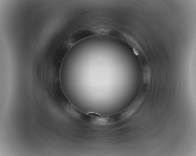 X0000115540573200911061502