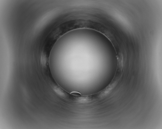 X0000115540574200911061502