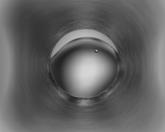 X0000115540575200911061502