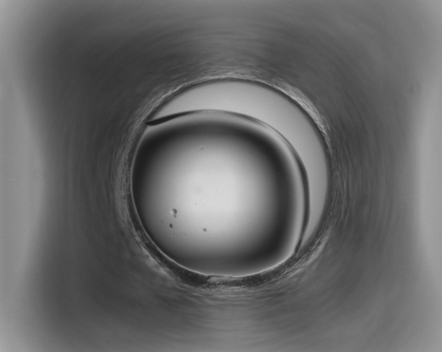 X0000115540577200911061502