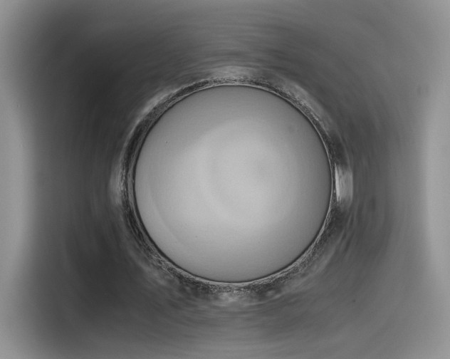 X0000115540579200911061502