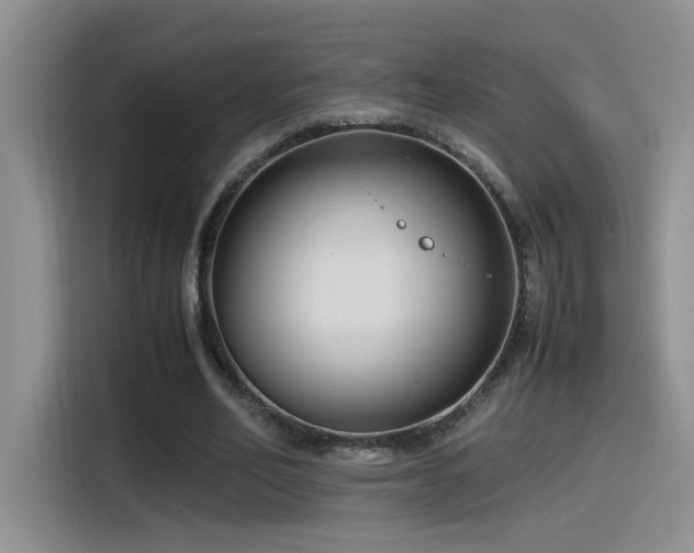 X0000115540582200911061502