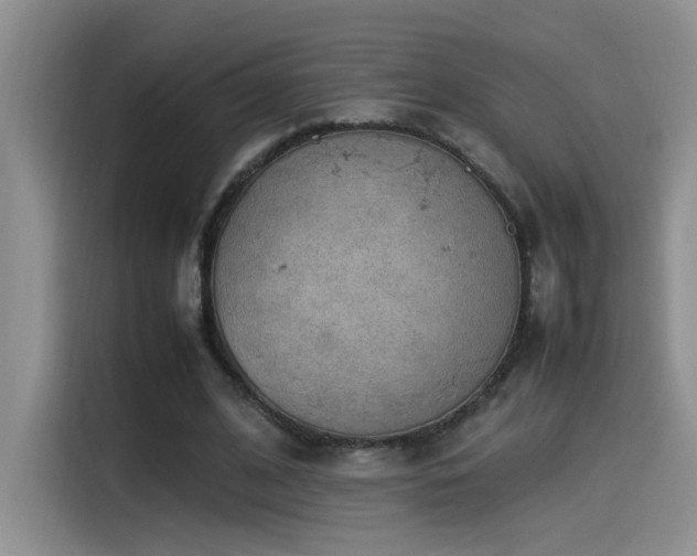 X0000115540584200911061502