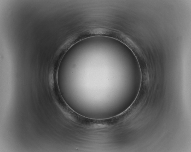 X0000115540586200911061502