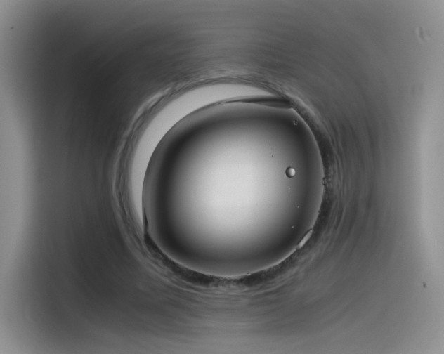 X0000115540587200911061502