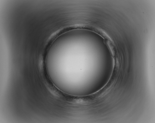 X0000115540588200911061502