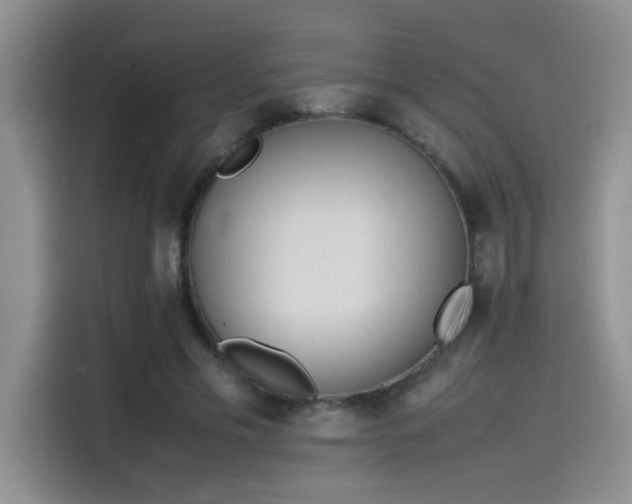 X0000115540589200911061502