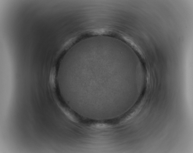 X0000115540590200911061502