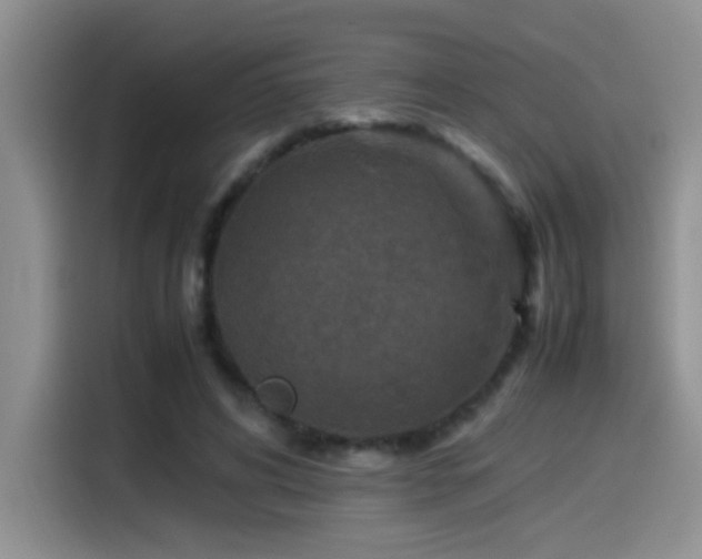 X0000115540592200911061502