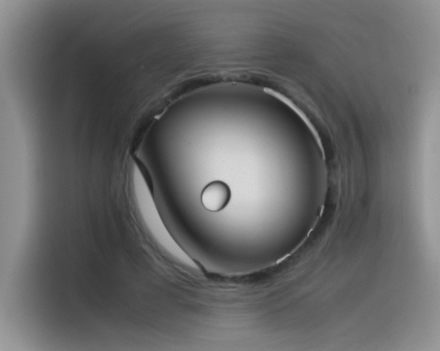 X0000115540593200911061502