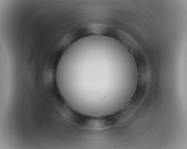 X0000115540595200911061502