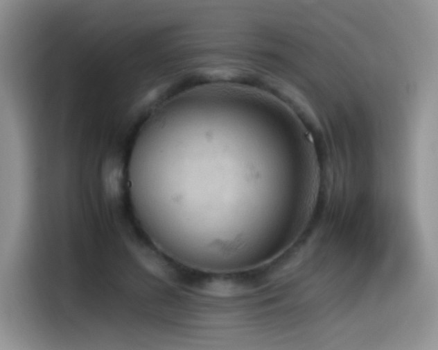 X0000115540596200911061502