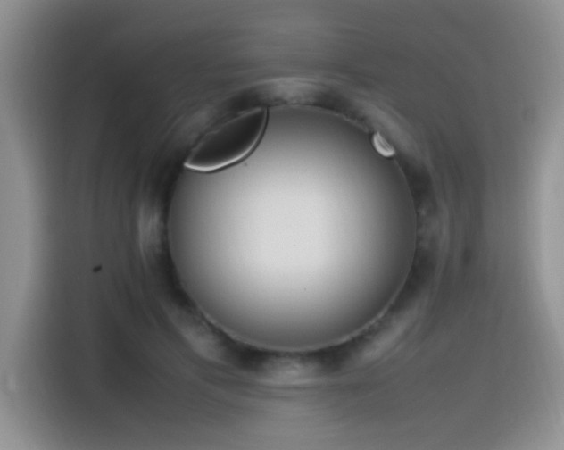 X0000115540597200911061502