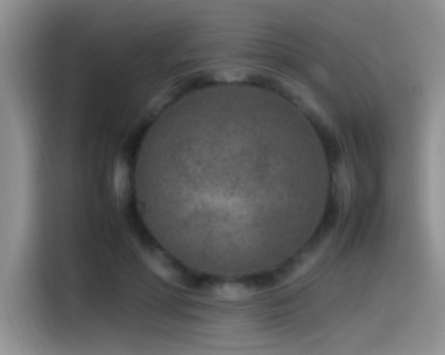 X0000115540598200911061502