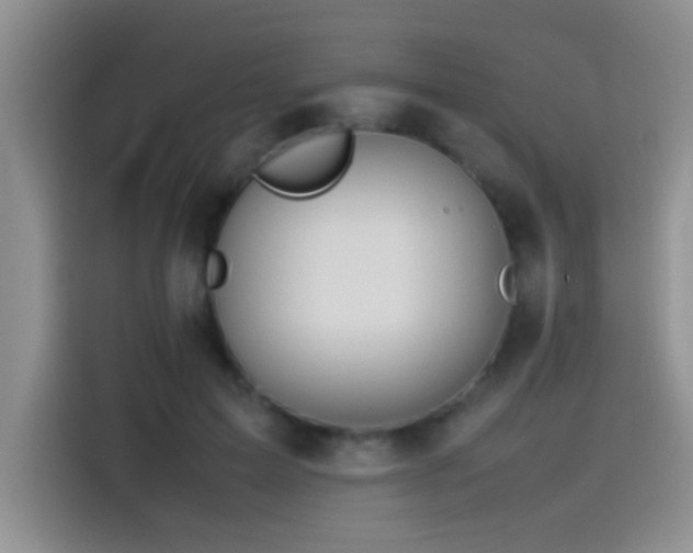 X0000115540599200911061502