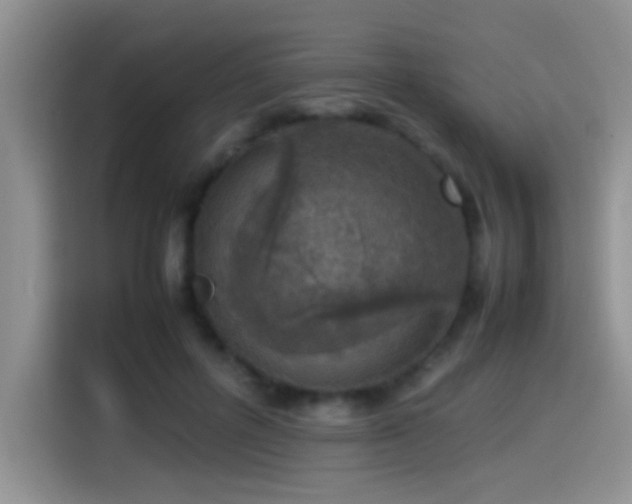 X0000115540600200911061502