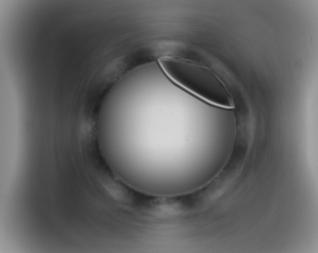 X0000115540601200911061502