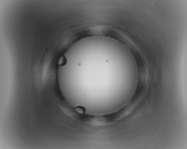 X0000115540603200911061501