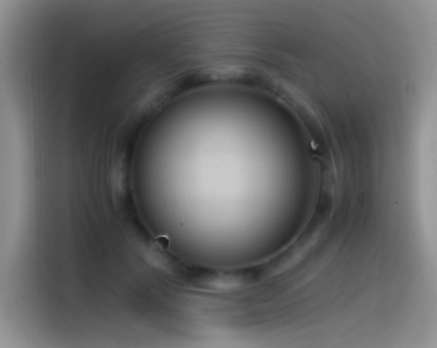 X0000115540604200911061501