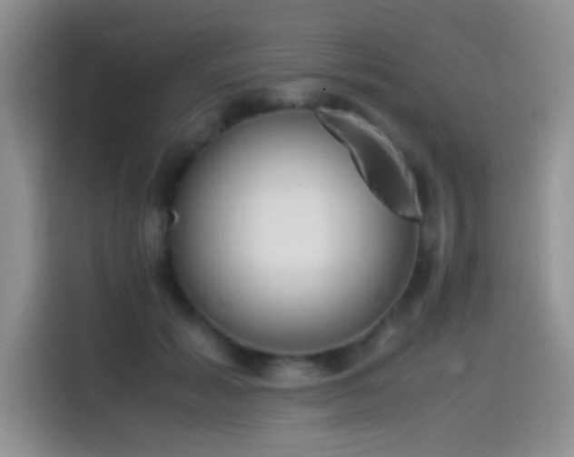 X0000115540605200911061501