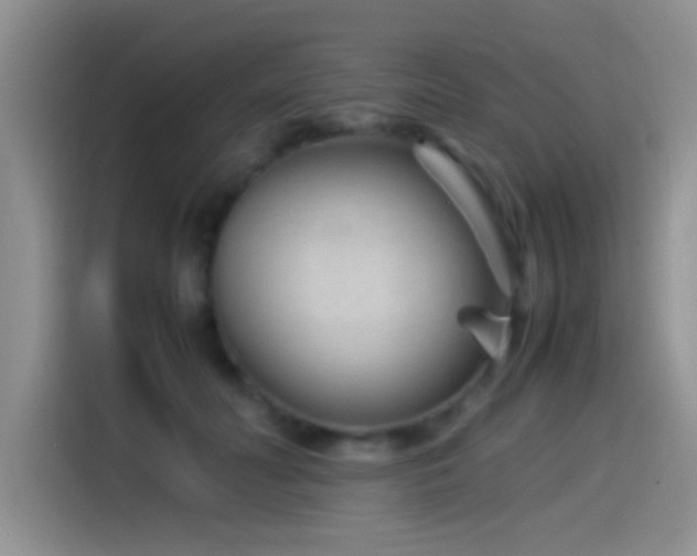 X0000115540606200911061501