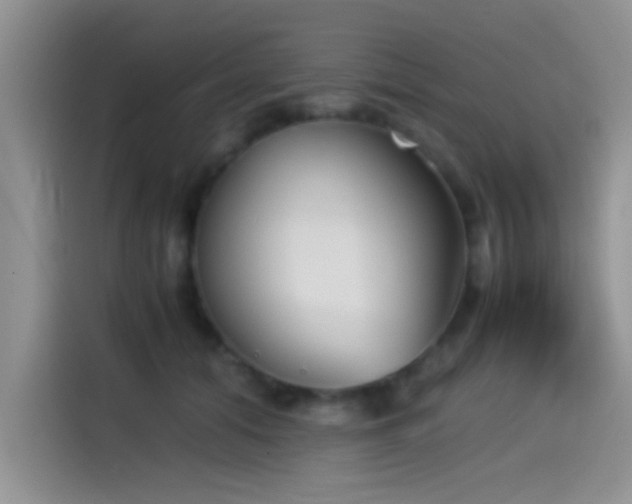 X0000115540608200911061501