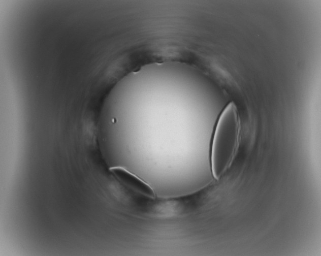 X0000115540609200911061501