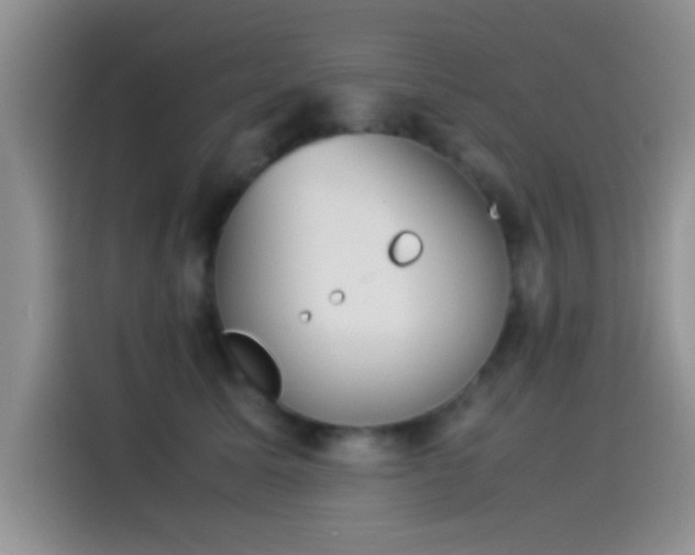 X0000115540611200911061501