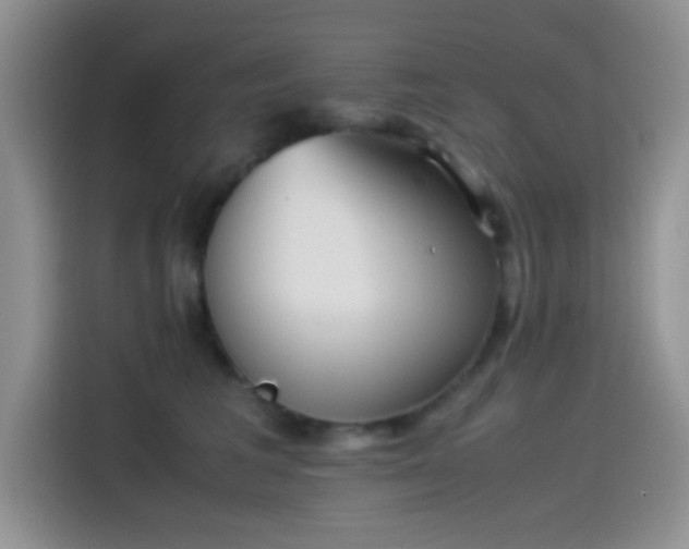 X0000115540613200911061501