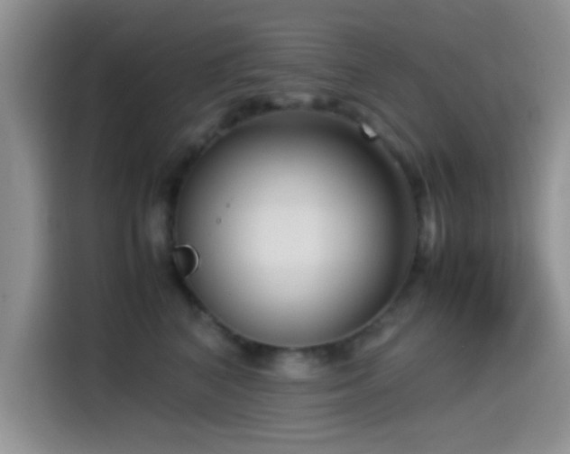 X0000115540616200911061501