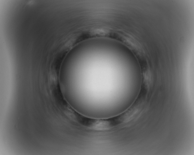 X0000115540617200911061501