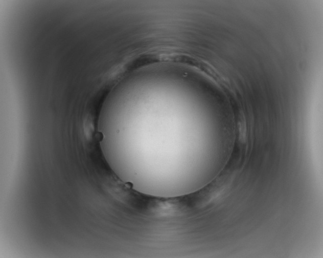 X0000115540618200911061501