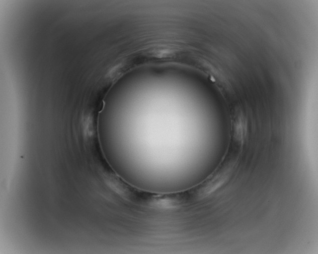 X0000115540620200911061501