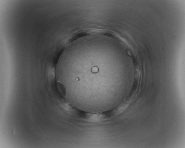 X0000115540621200911061501