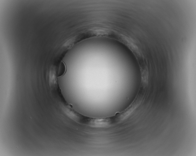 X0000115540622200911061501