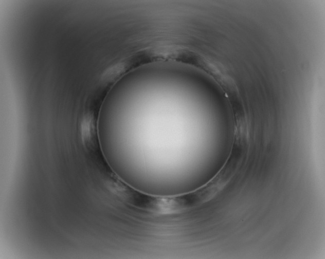 X0000115540623200911061501