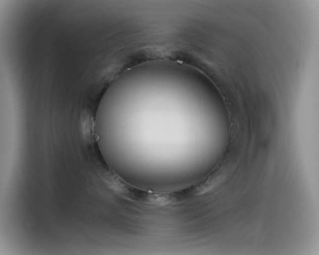 X0000115540624200911061501