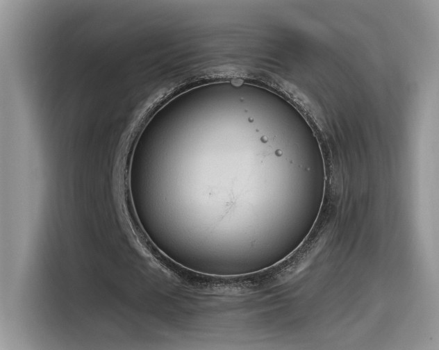 X0000115540625200911061501