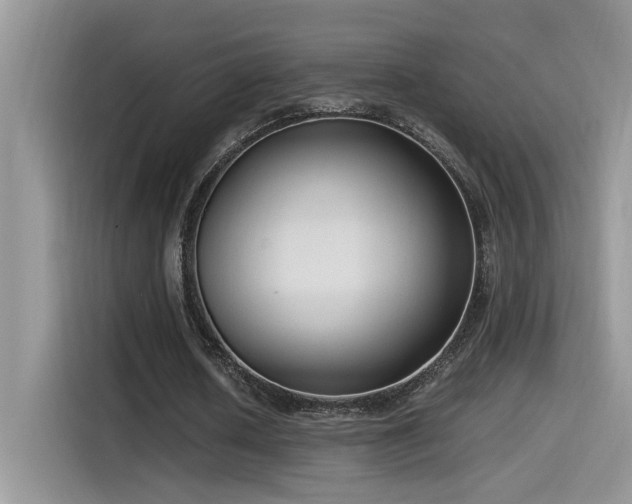 X0000115540626200911061501