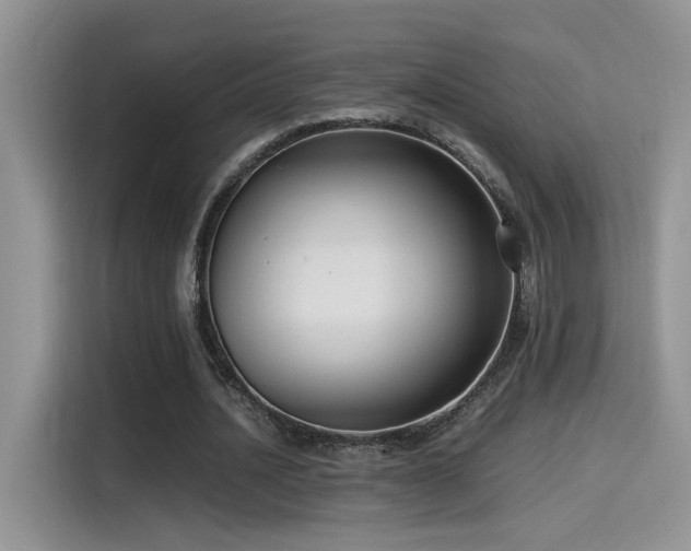 X0000115540628200911061501