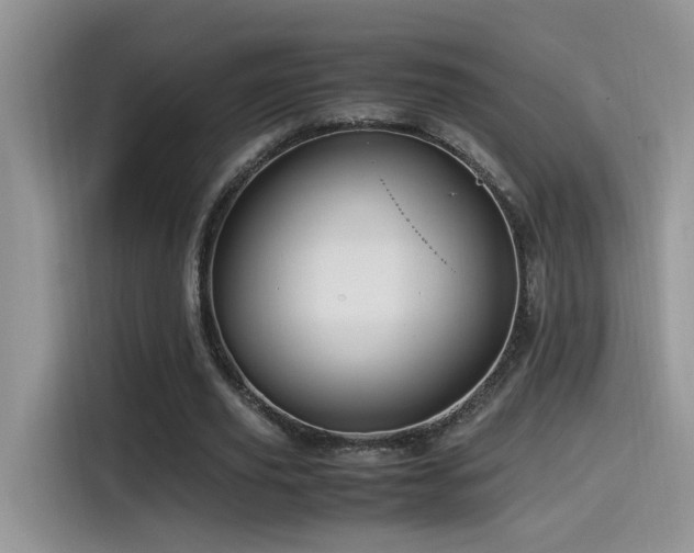 X0000115540629200911061501