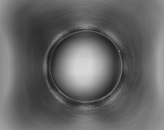 X0000115540630200911061501