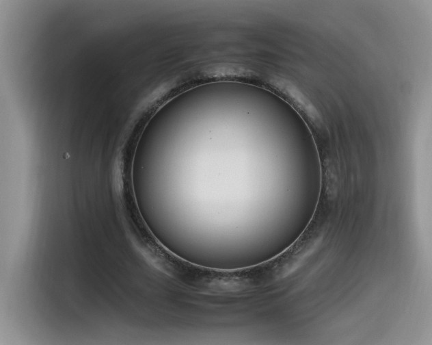 X0000115540631200911061501